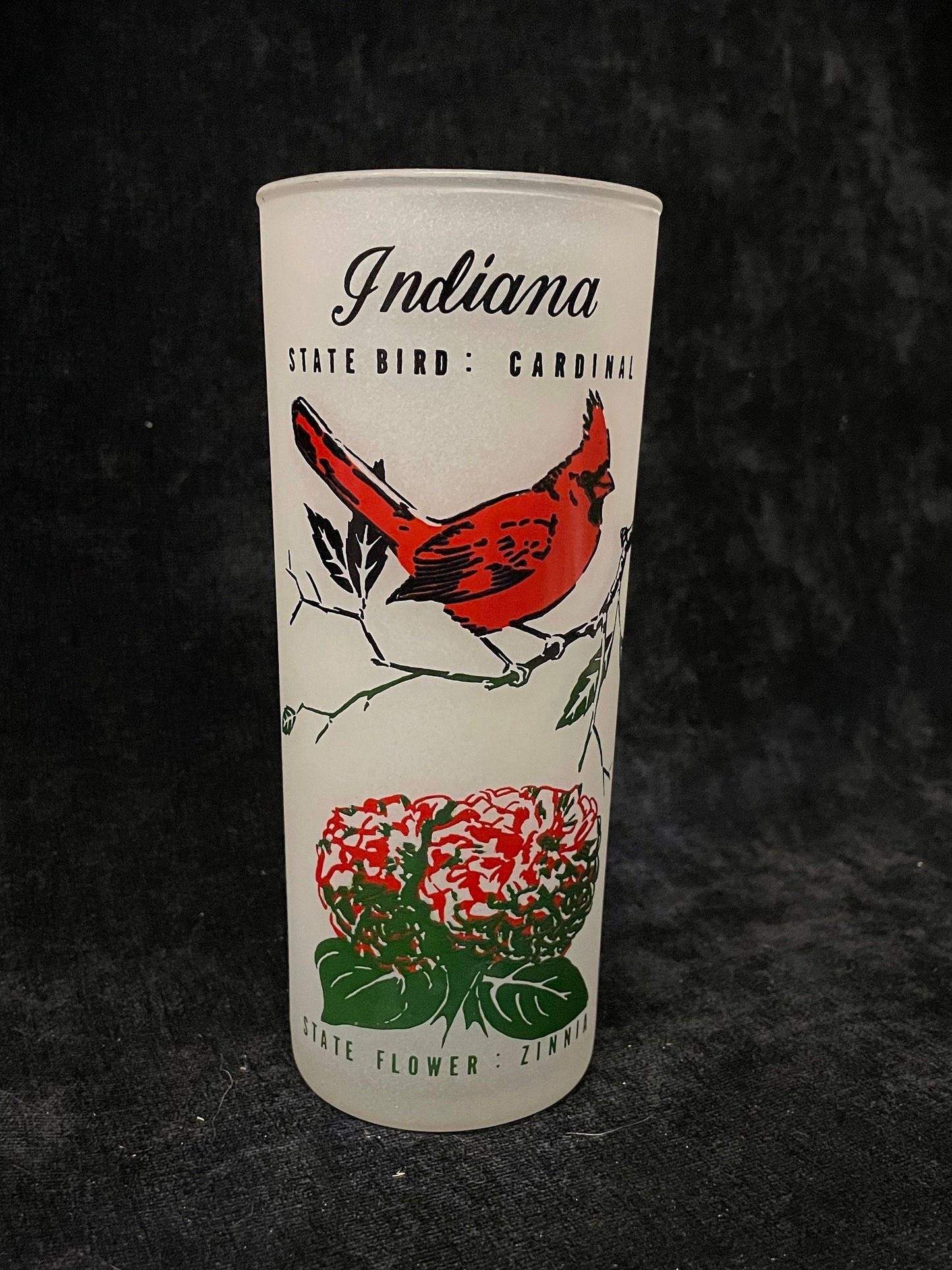Indiana State Frosted Collectible Souvenir Glass