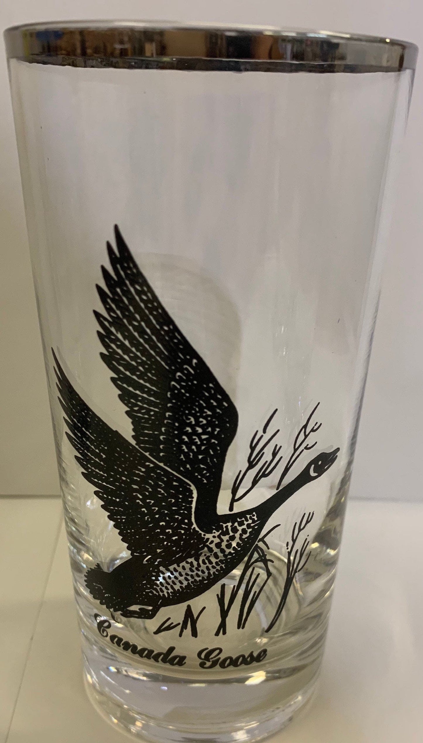 8 ounce Tumblers, Set of 4 North American Game Birds, Silver Rimmed, 2 Sets Available- Gift for the Hunter. Pheasant, Quail, Mallard, Goose