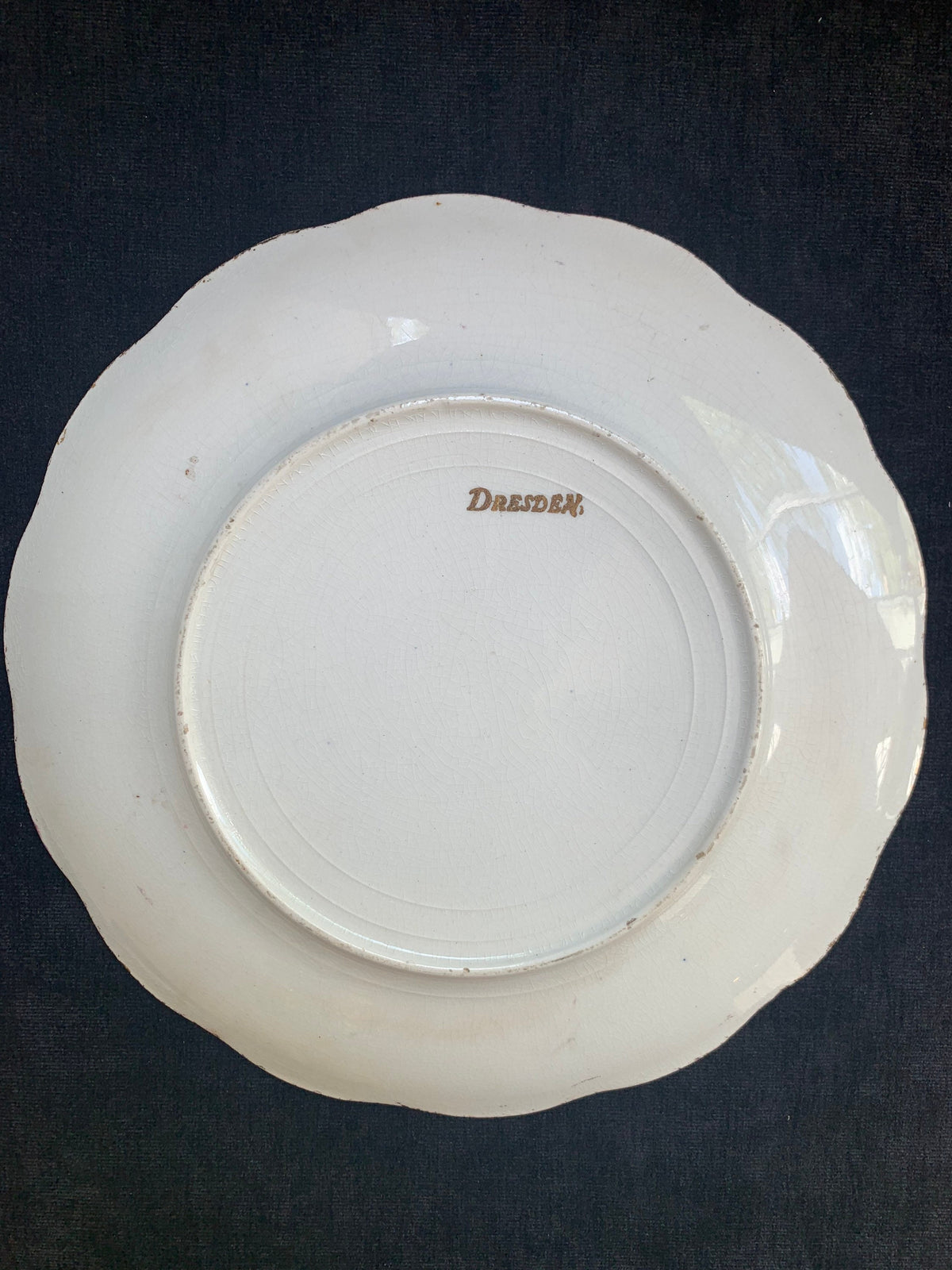Dresden Amicitia Cabinet Plate with Brunette Woman with Maroon and Gold Rim
