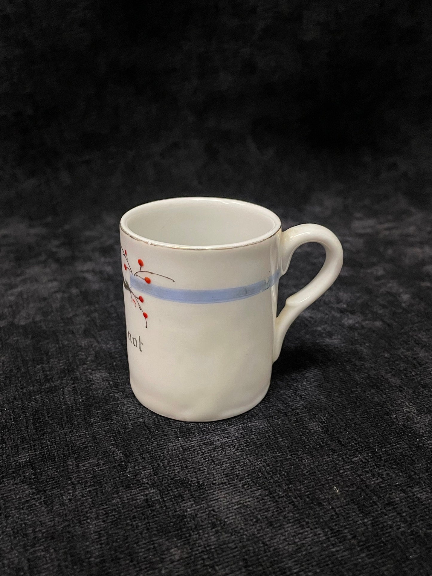 Forget Me Not Friendship Cup and Saucer