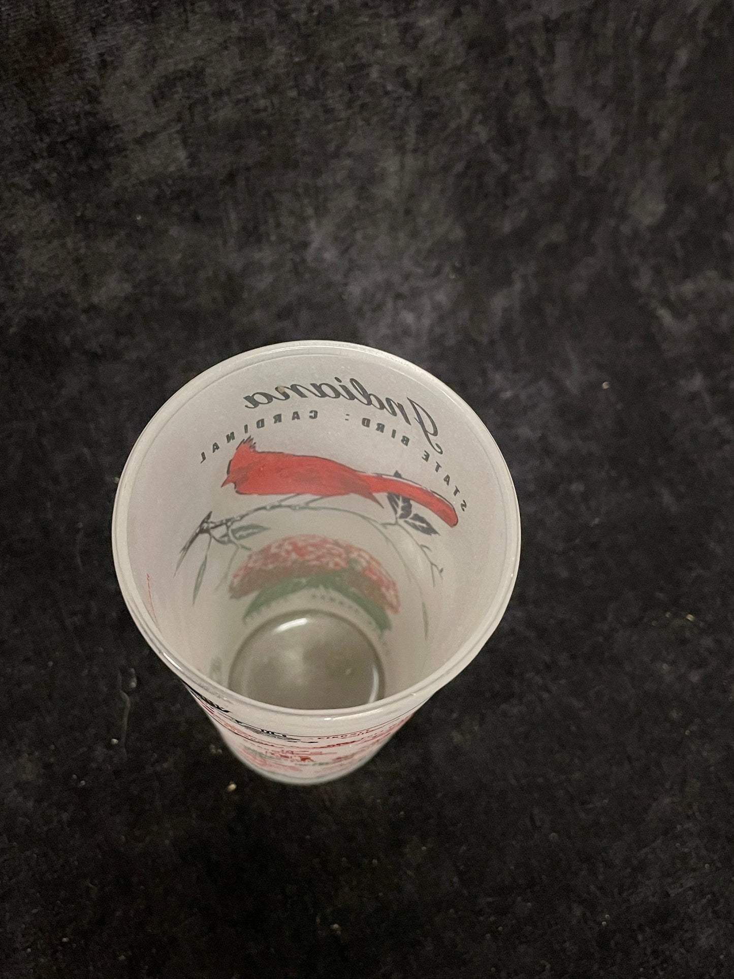Indiana State Frosted Collectible Souvenir Glass