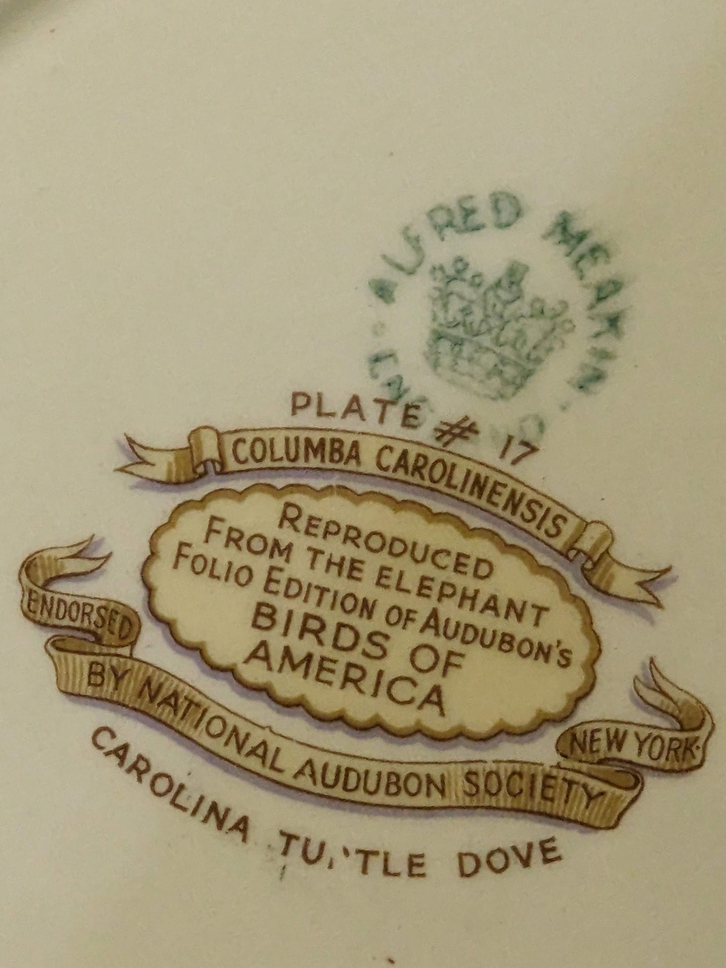 Audubon Society Carolina Turtle Dove Plate