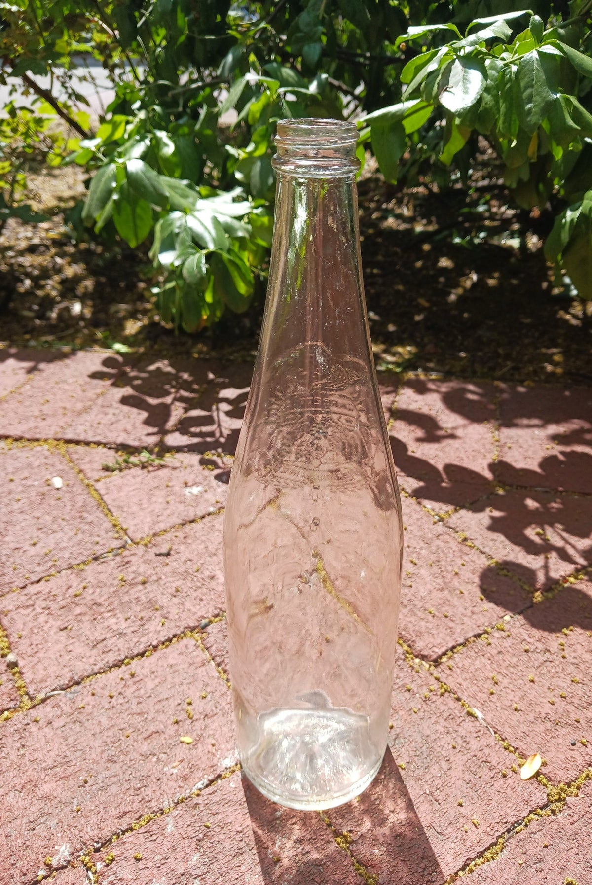 1940s Garrett & Co. Virginia Dare Wine Bottle