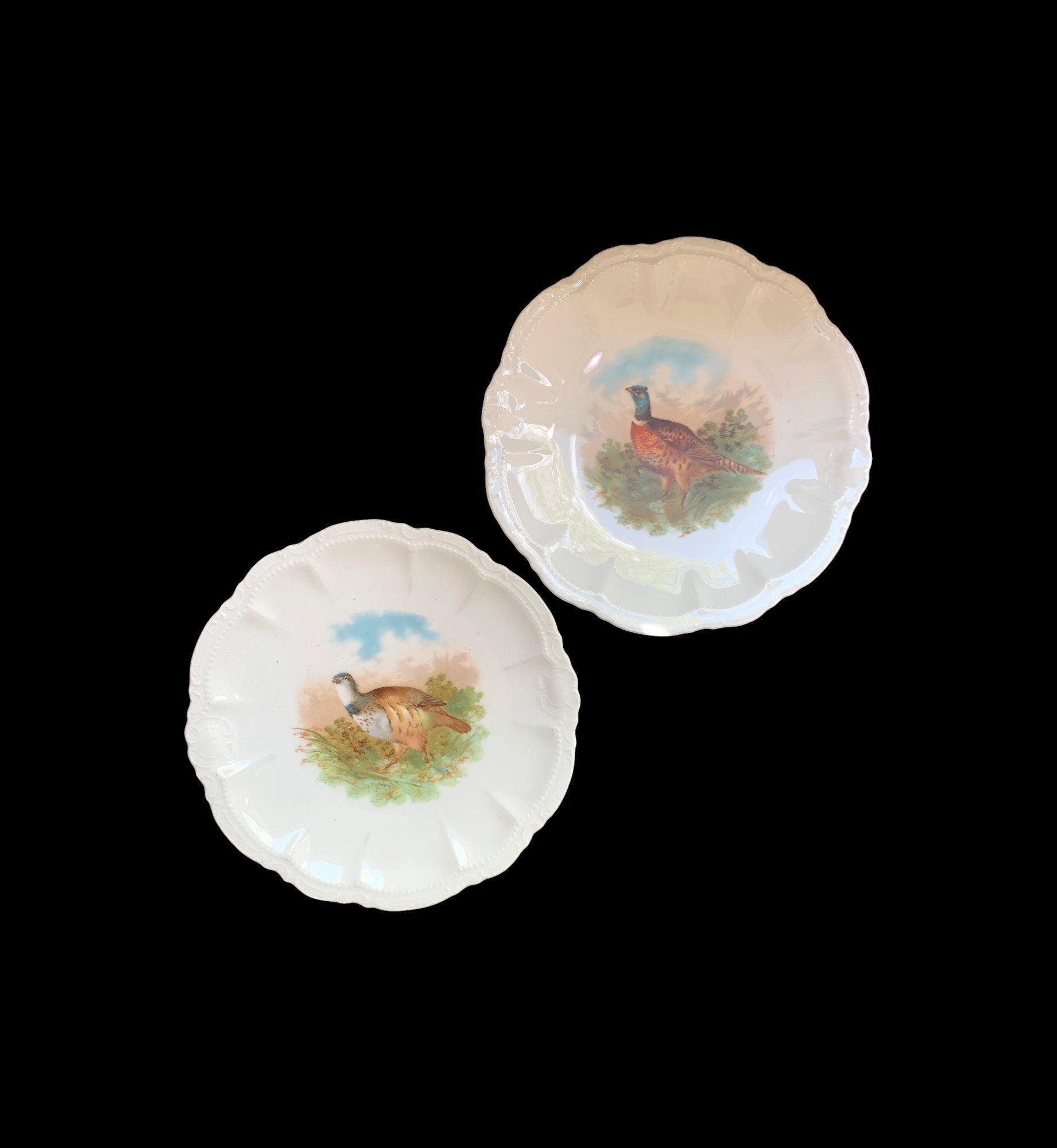 Bavaria Game Bird Plates-Set of Two, Pheasant and Partridge - Vintage