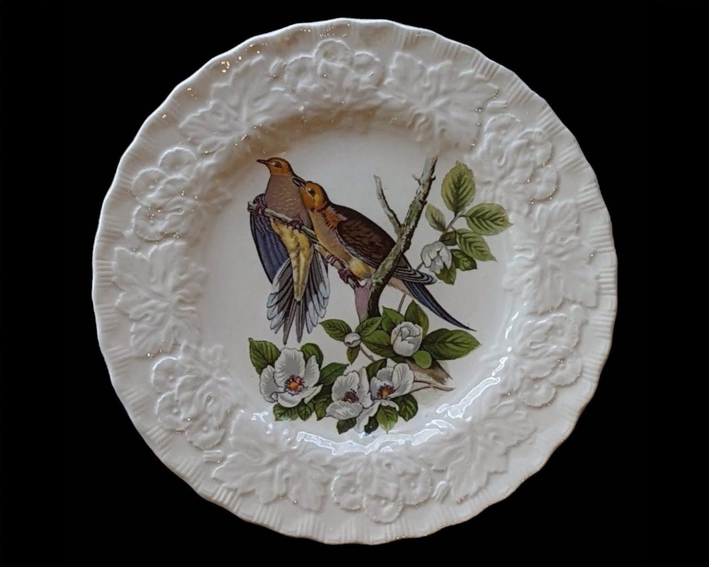 Audubon Society Carolina Turtle Dove Plate