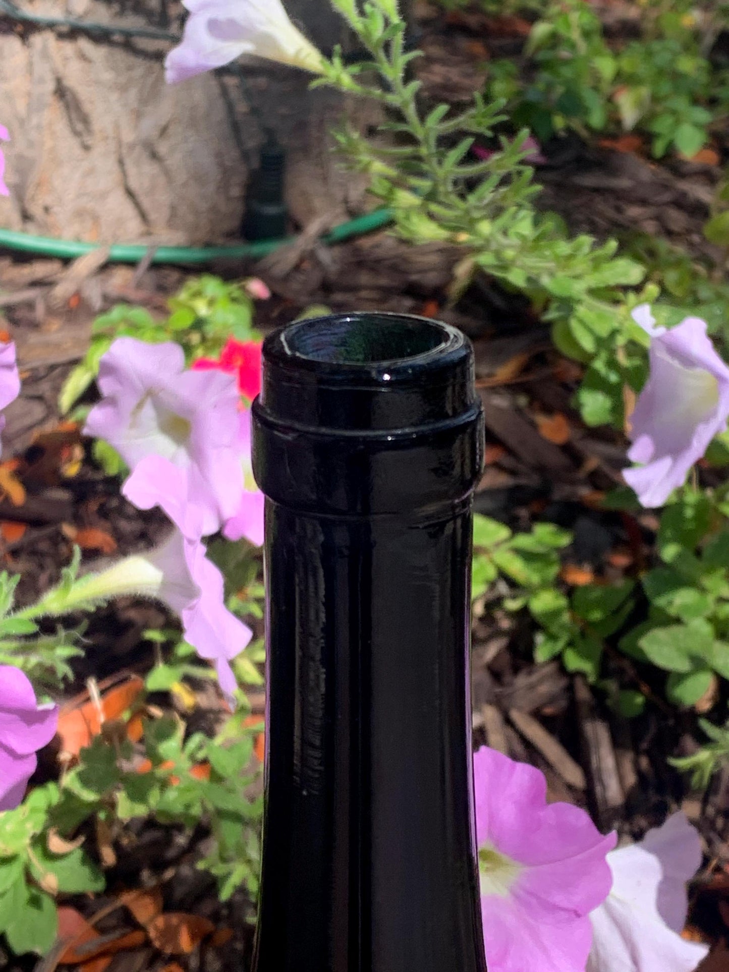 Mouth Blown and Turned Dark Blue Wine Bottle - Late 1800s Blue Wine Bottle - Rare Blue Wine Bottle with Cork and Wire Top