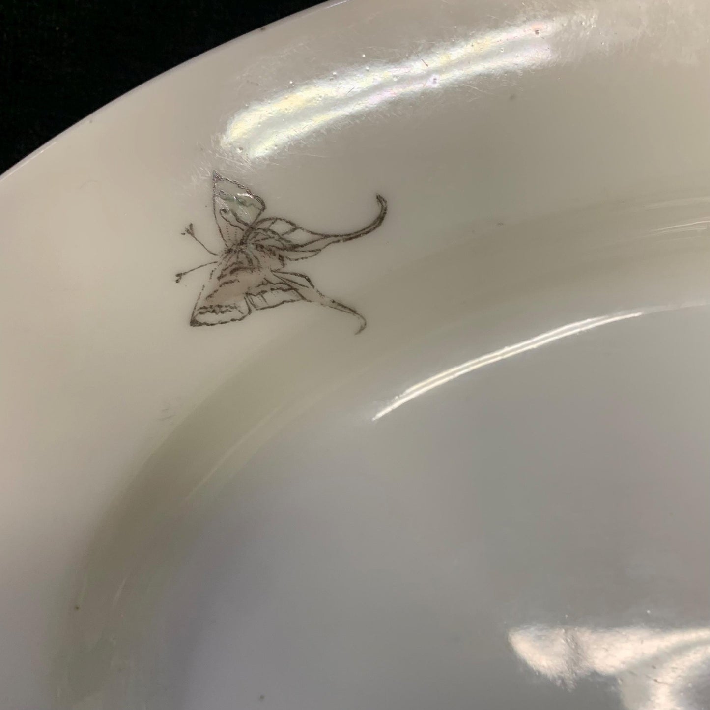 11" Sarreguemines Platter - 1800s Northern France - White Ironstone  "Open Pastures" Grass and Butterfly Pattern - Farmhouse Decor